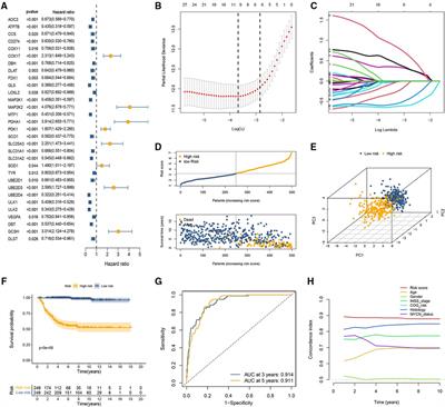 A novel cuproptosis-related gene signature predicting overall survival in pediatric neuroblastoma patients